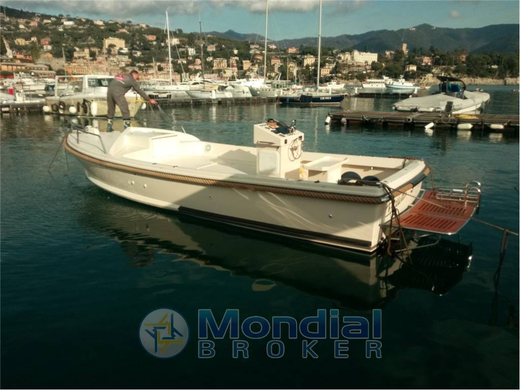 Nelson 24 open
