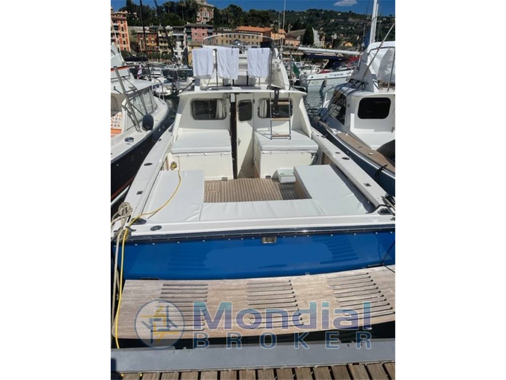 Bertram 31