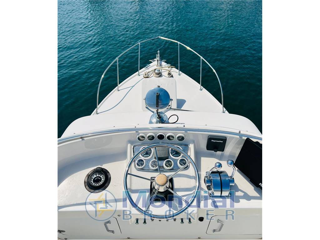 Bertram 31