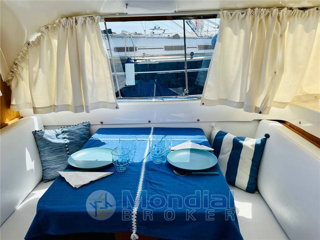Bertram 31