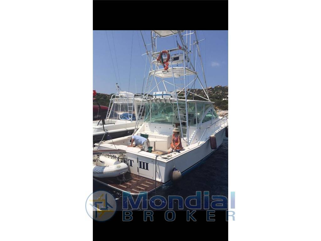 Cabo yachts 45 express