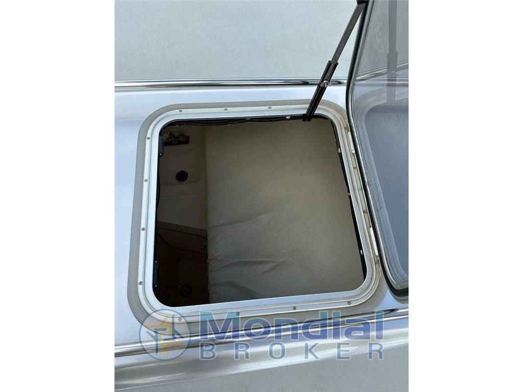 Magnum marine 50
