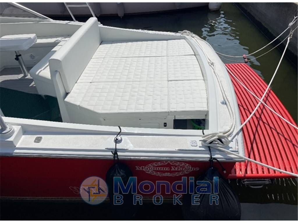 Magnum marine 35 hard top