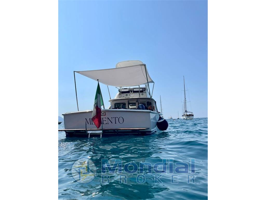 Bertram 31 fbc