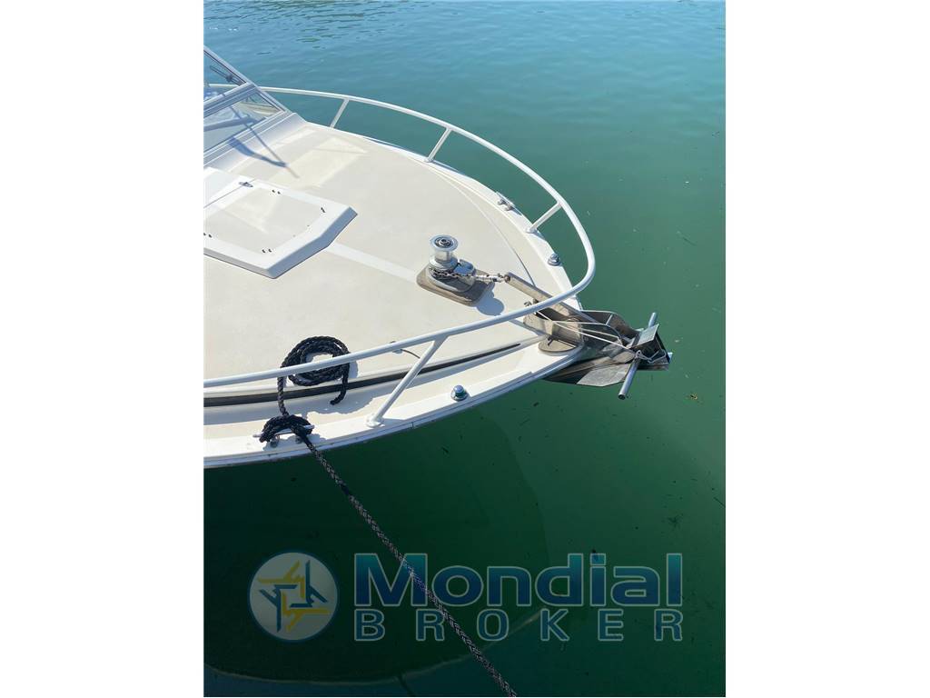 Bertram yacht 28 moppie
