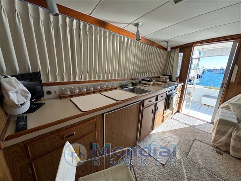 Bertram 38 fly