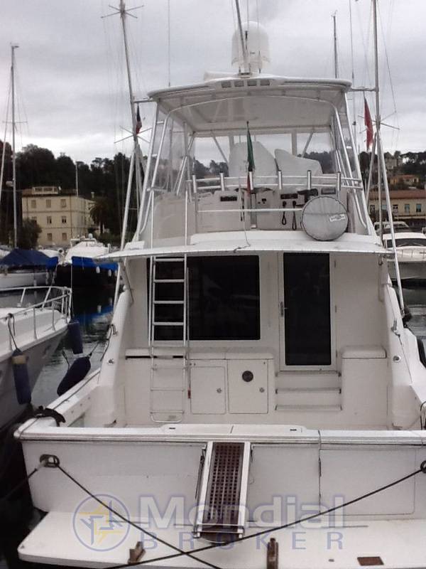 Bertram 510