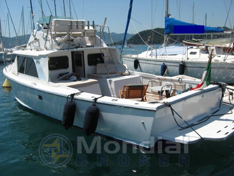 Bertram 31