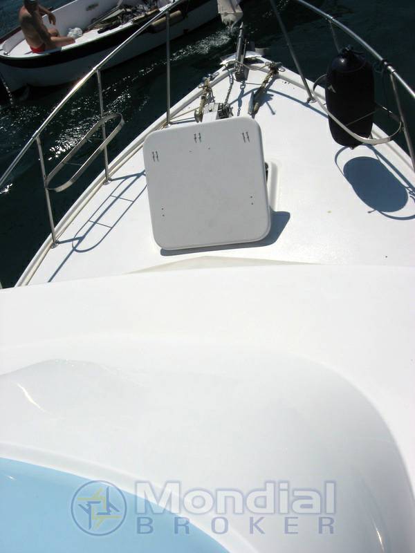 Bertram 31