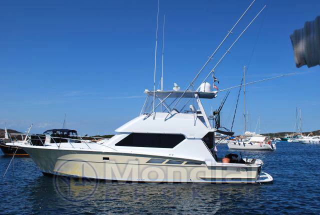 Hatteras 50