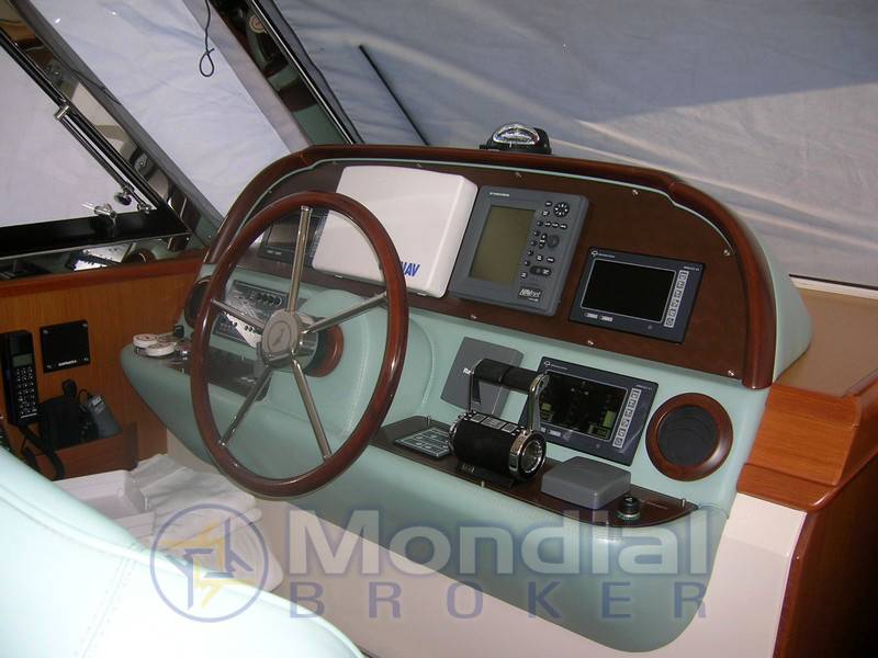 Mochi 51 dolphin