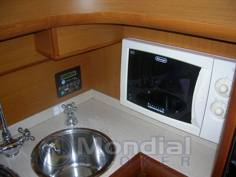 Mochi 51 dolphin