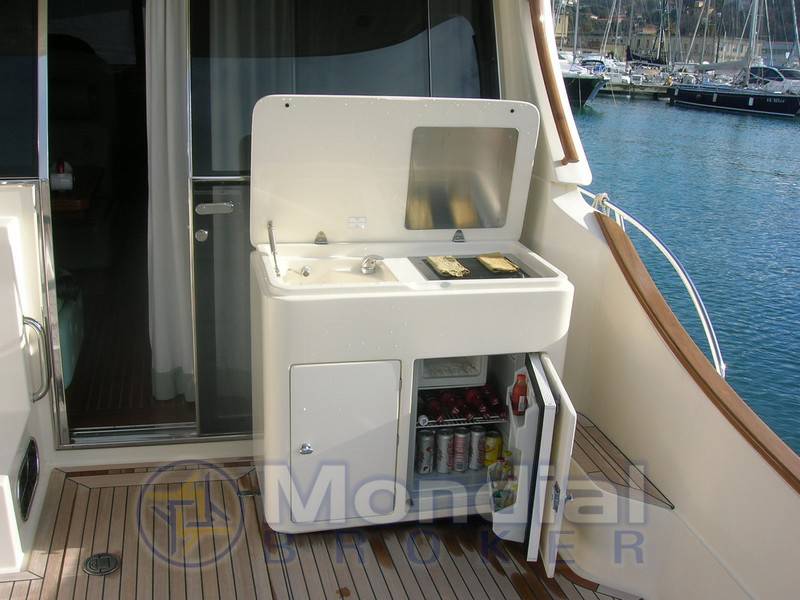 Mochi 51 dolphin