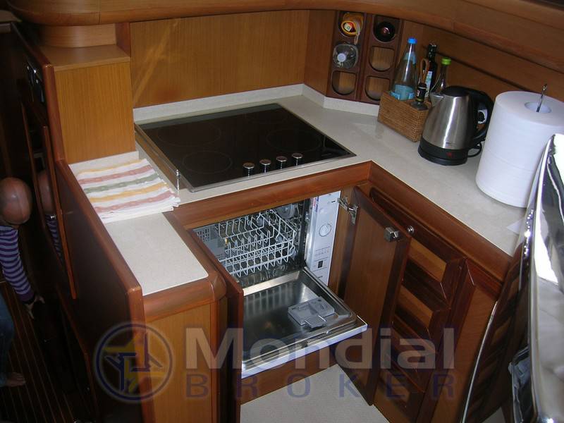 Mochi 51 dolphin