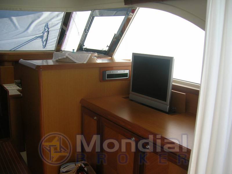 Mochi 51 dolphin