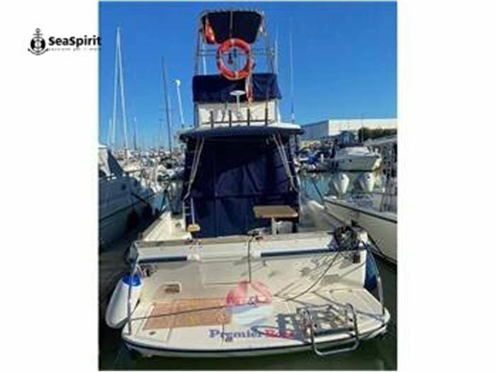 Polyform Triakis 30 tuna tower2008