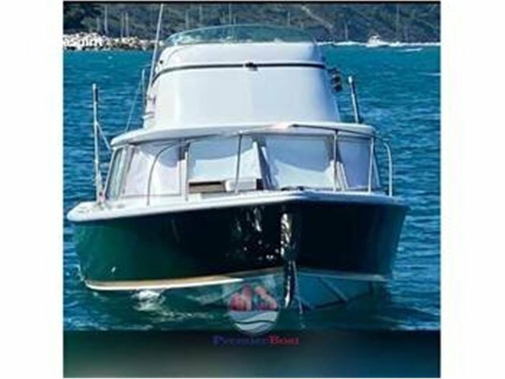 Bertram 31 fly
