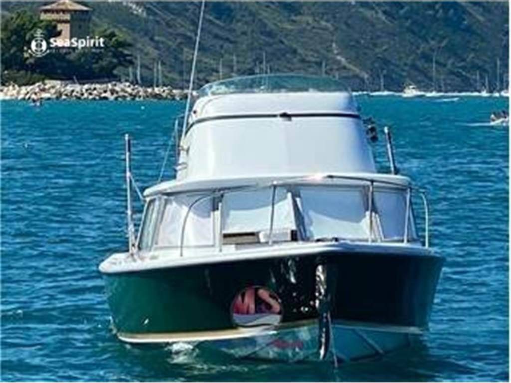 Bertram 31 fly