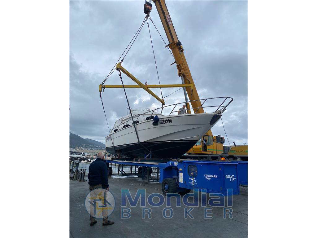 Rover marine Rover 38 lionheart fly