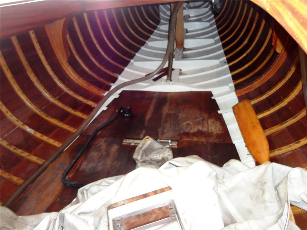 Baglietto 5.5 stazza internazionale