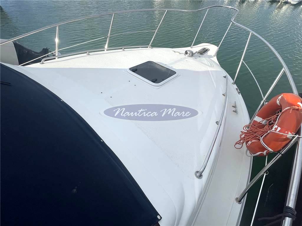 Plastik Space 310 cruise