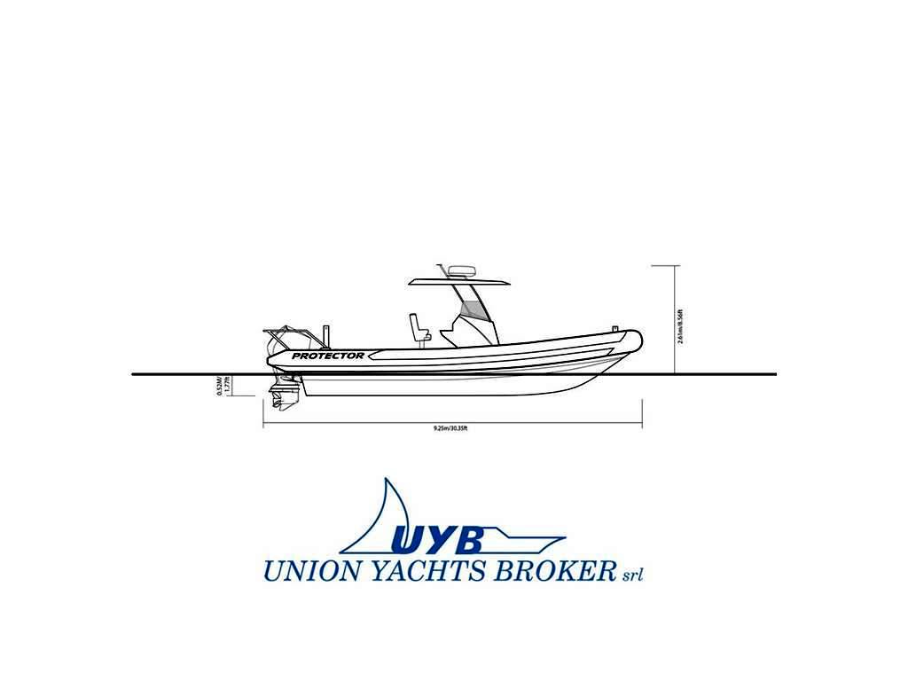 Rayglass Protector 310 chase