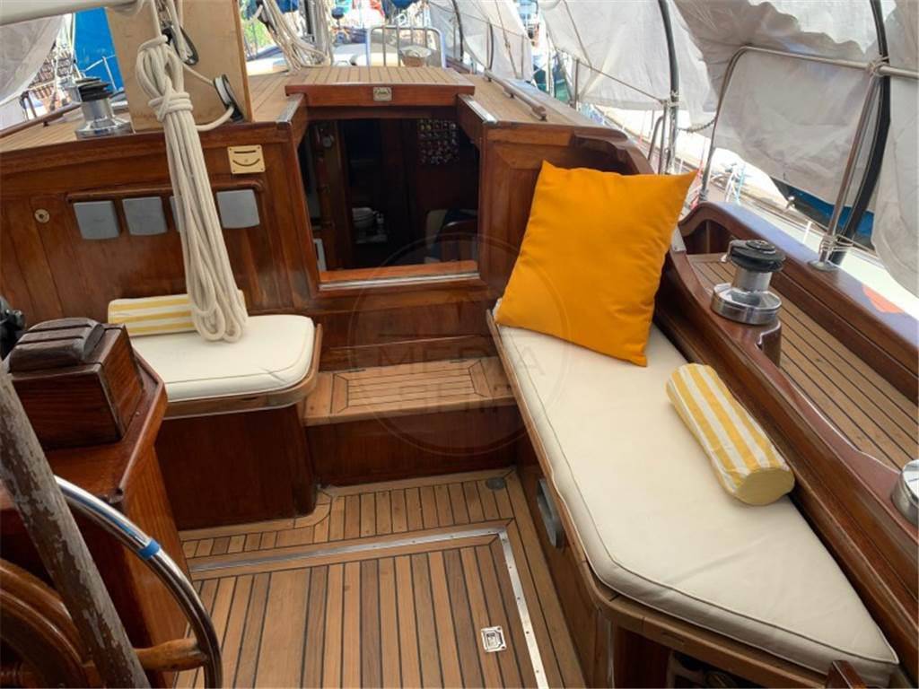 Albatros deniz Albatros 49