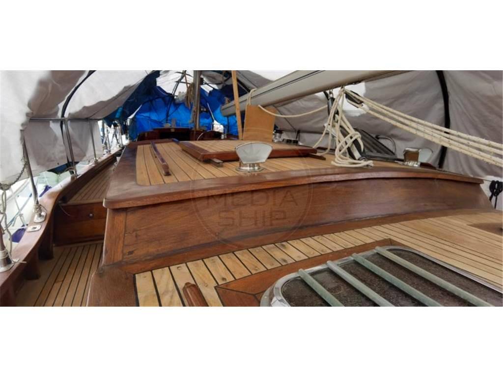 Albatros deniz Albatros 49