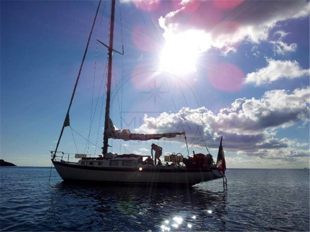 Benello S&s 36