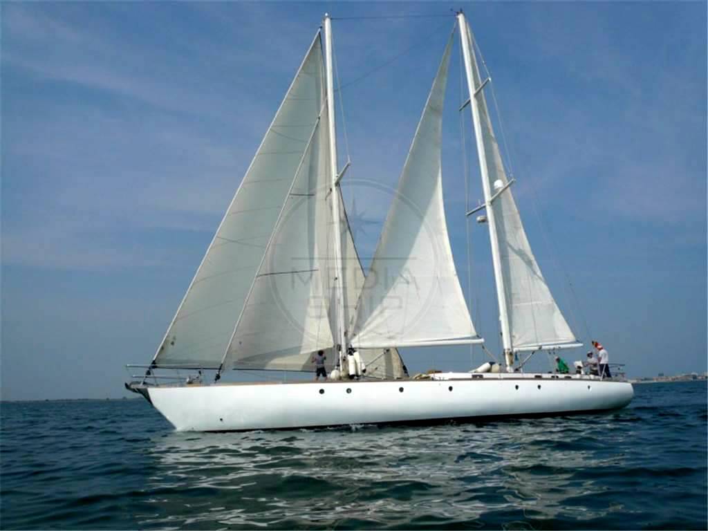 Stain Goletta oceanica