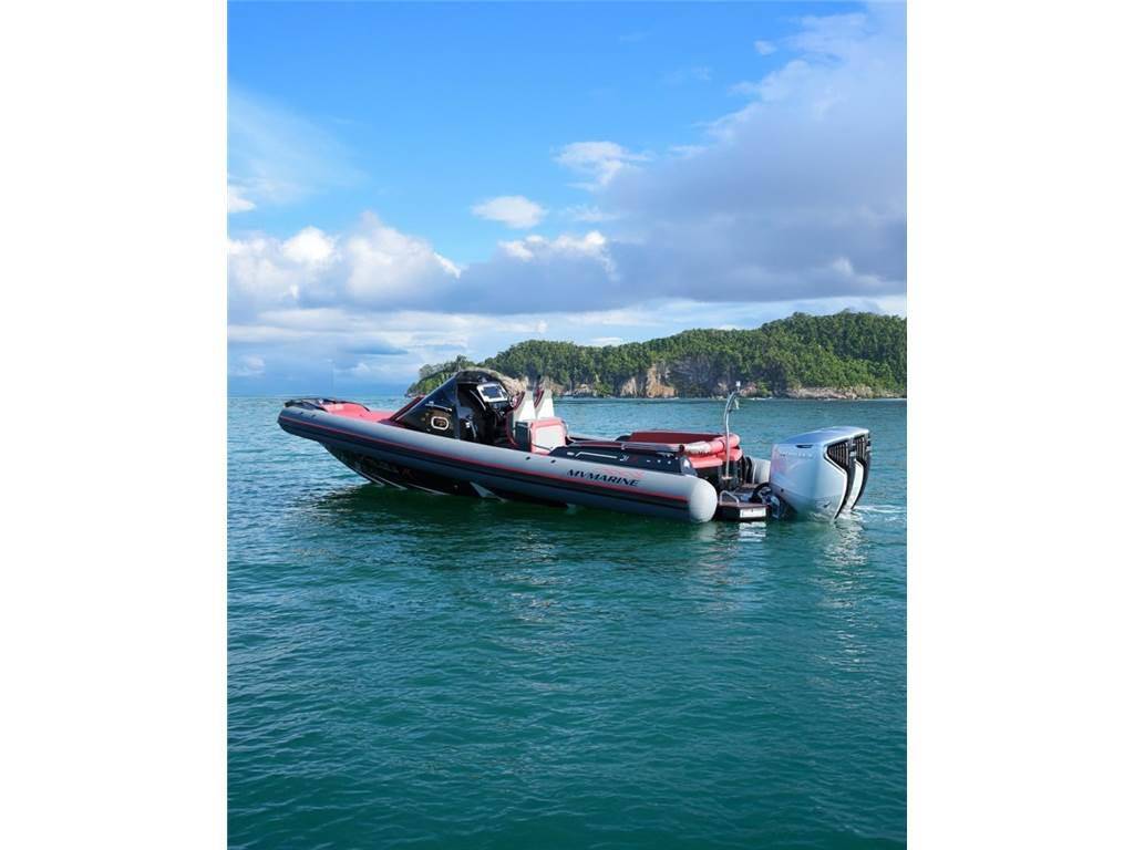 Mv marine Mito 31
