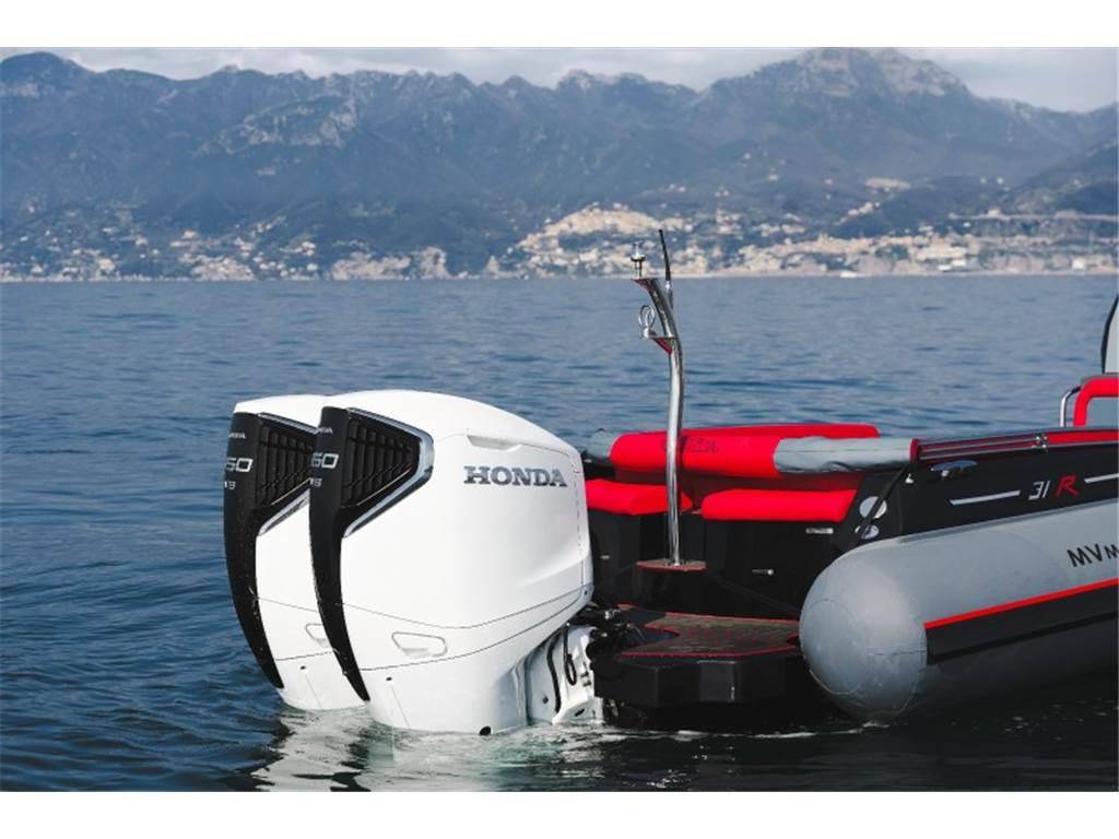 Mv marine Mito 31