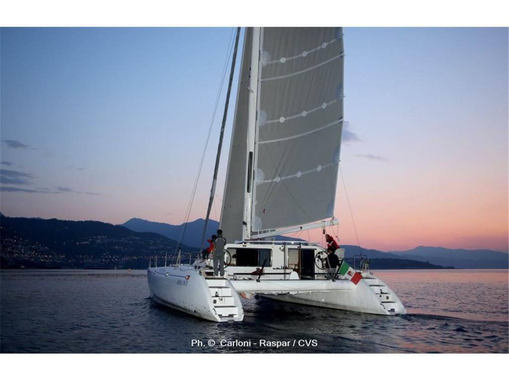 Latini Cat 43