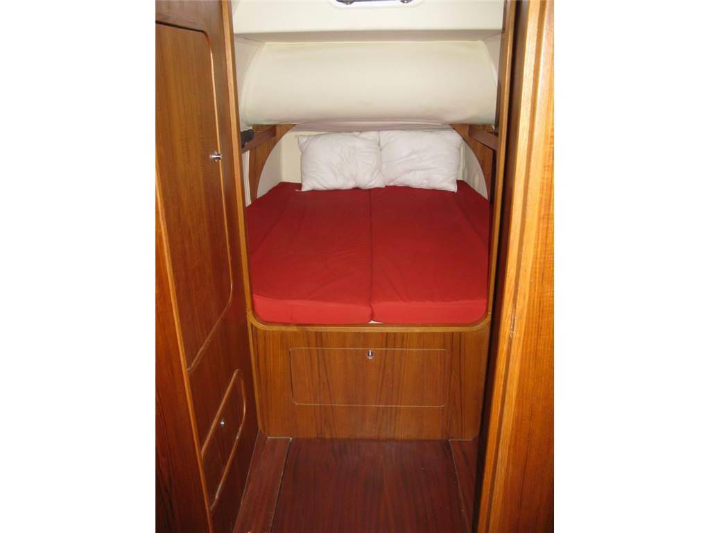 Latini Cat 43