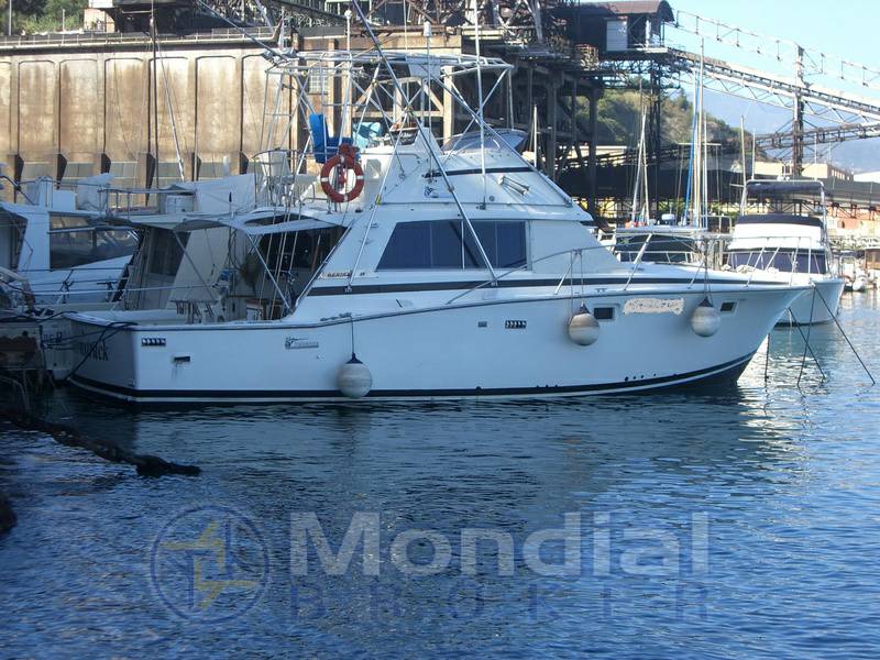 Bertram 38 iii serie