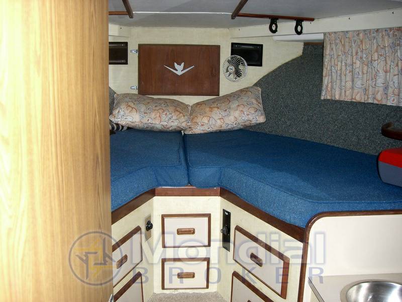 Bertram 38 iii serie