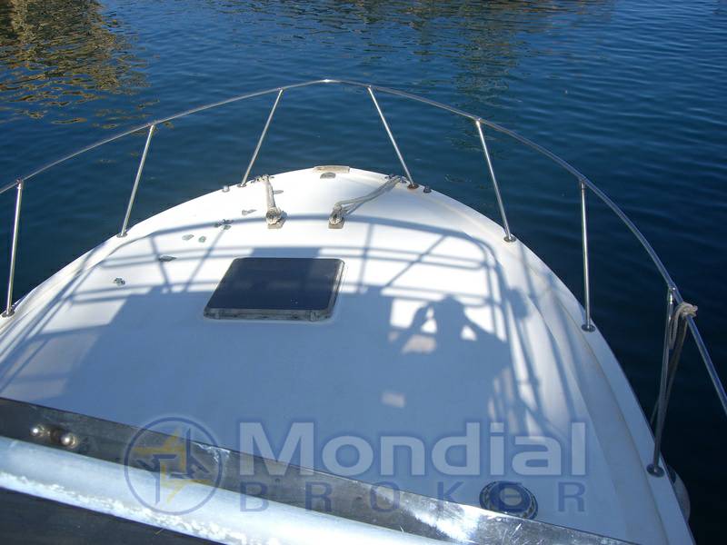 Bertram 38 iii serie