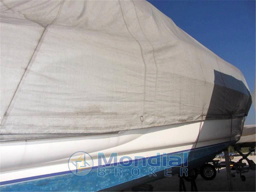 Sealine 360 ambassador