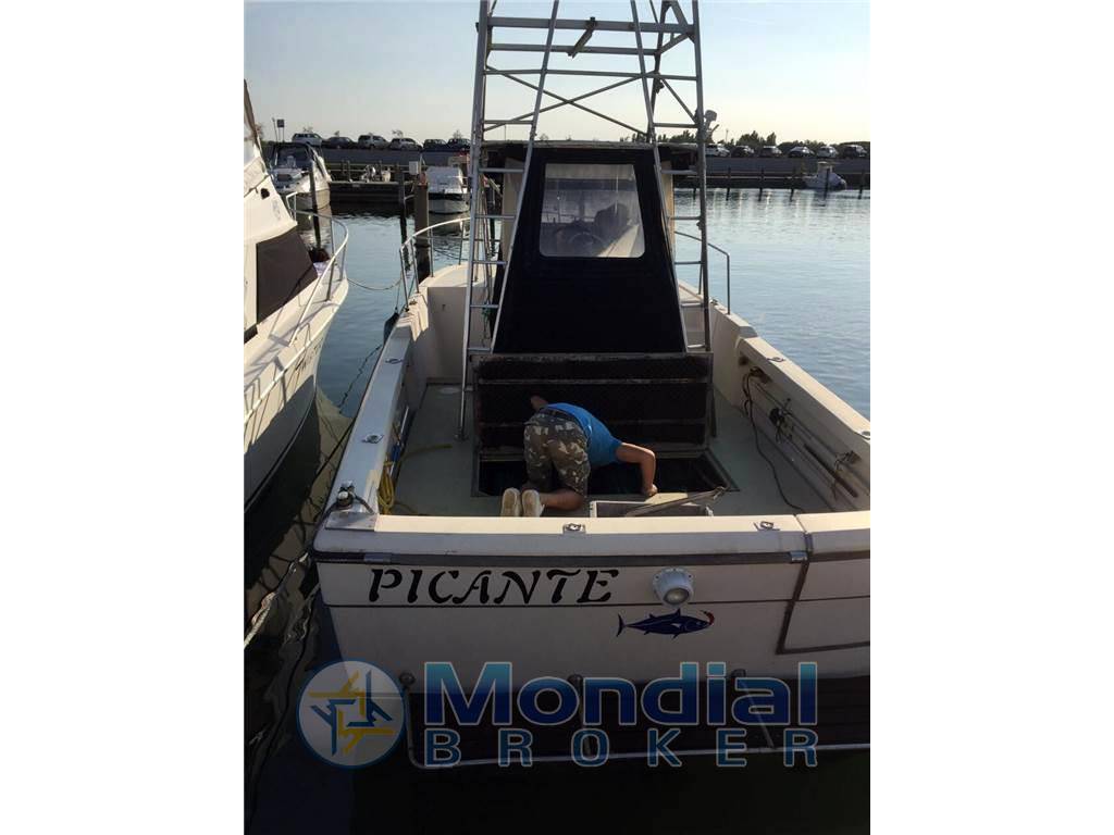 Robalo 26 cavin walkaround