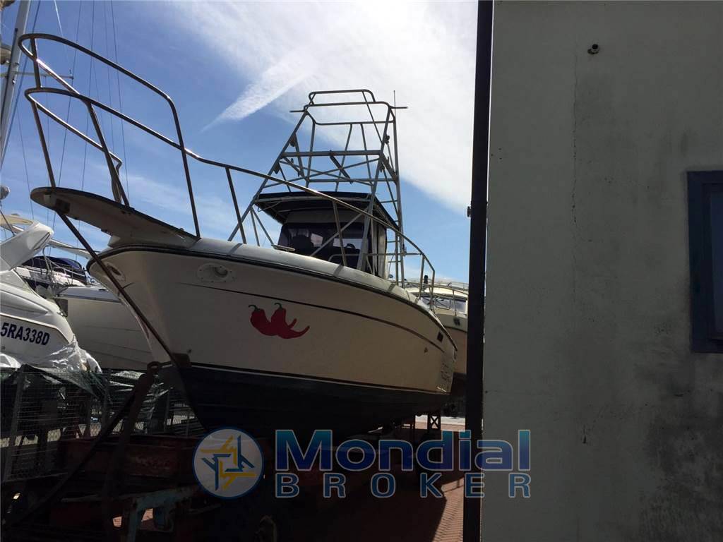 Robalo 26 cavin walkaround