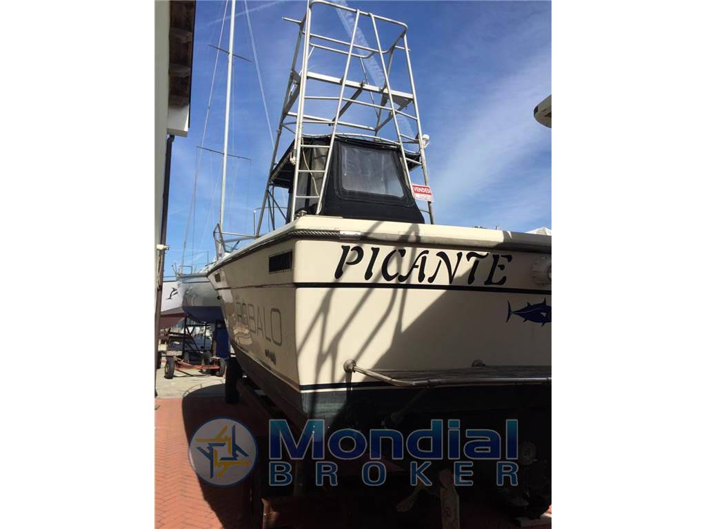 Robalo 26 cavin walkaround