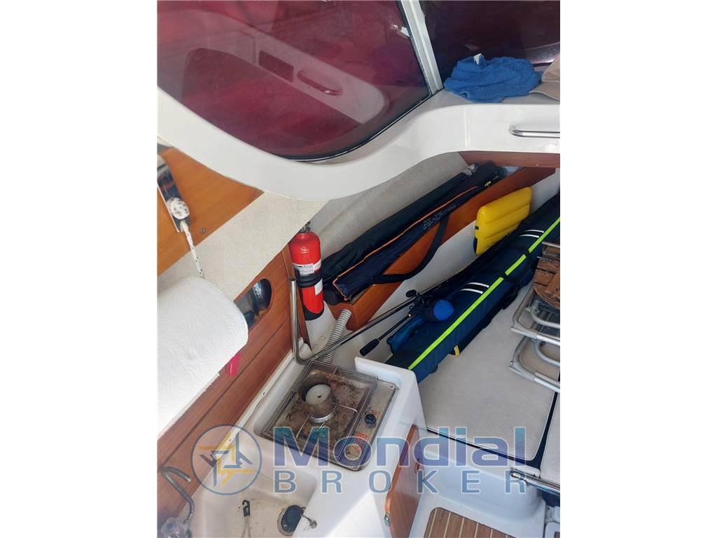 Arvor 230 as