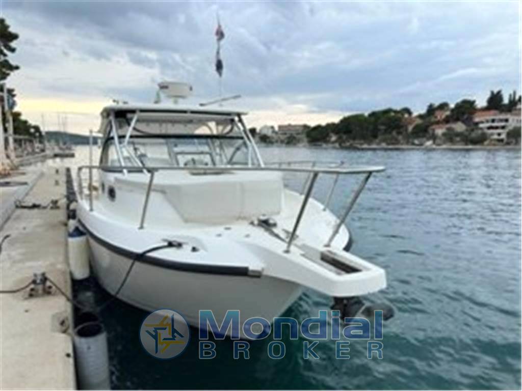 Boston whaler Boston 305 conquest