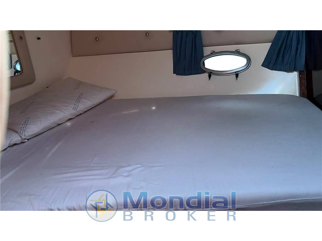 Salpa Laver 32.5