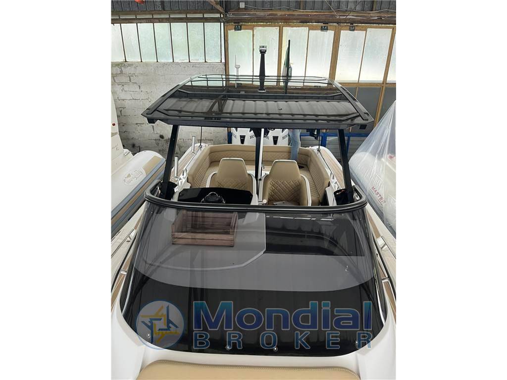 Salpa Soleil 33