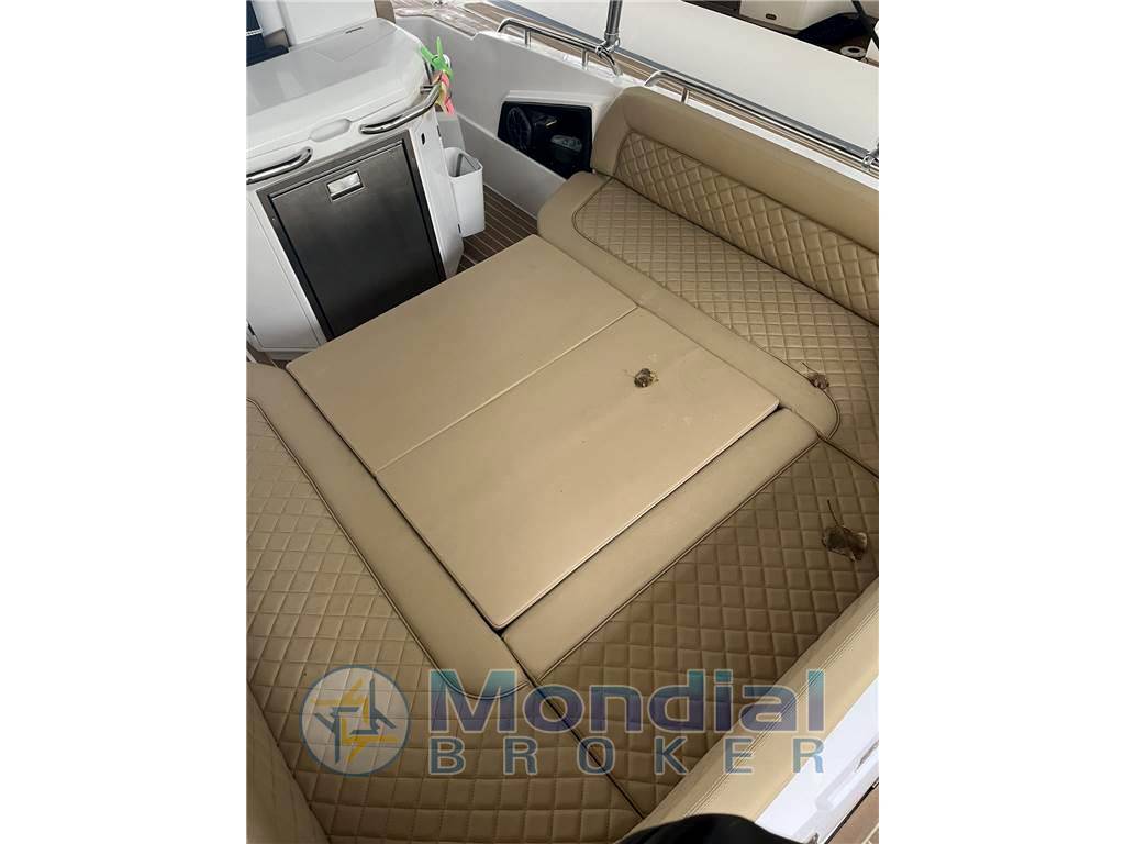 Salpa Soleil 33