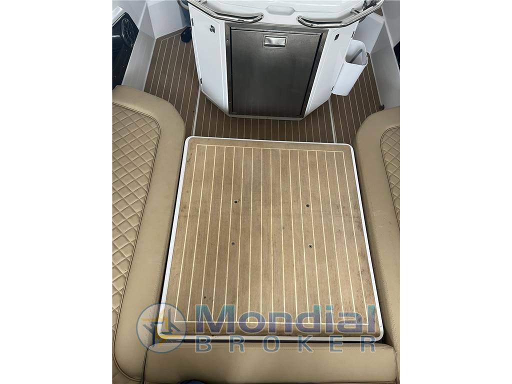 Salpa Soleil 33