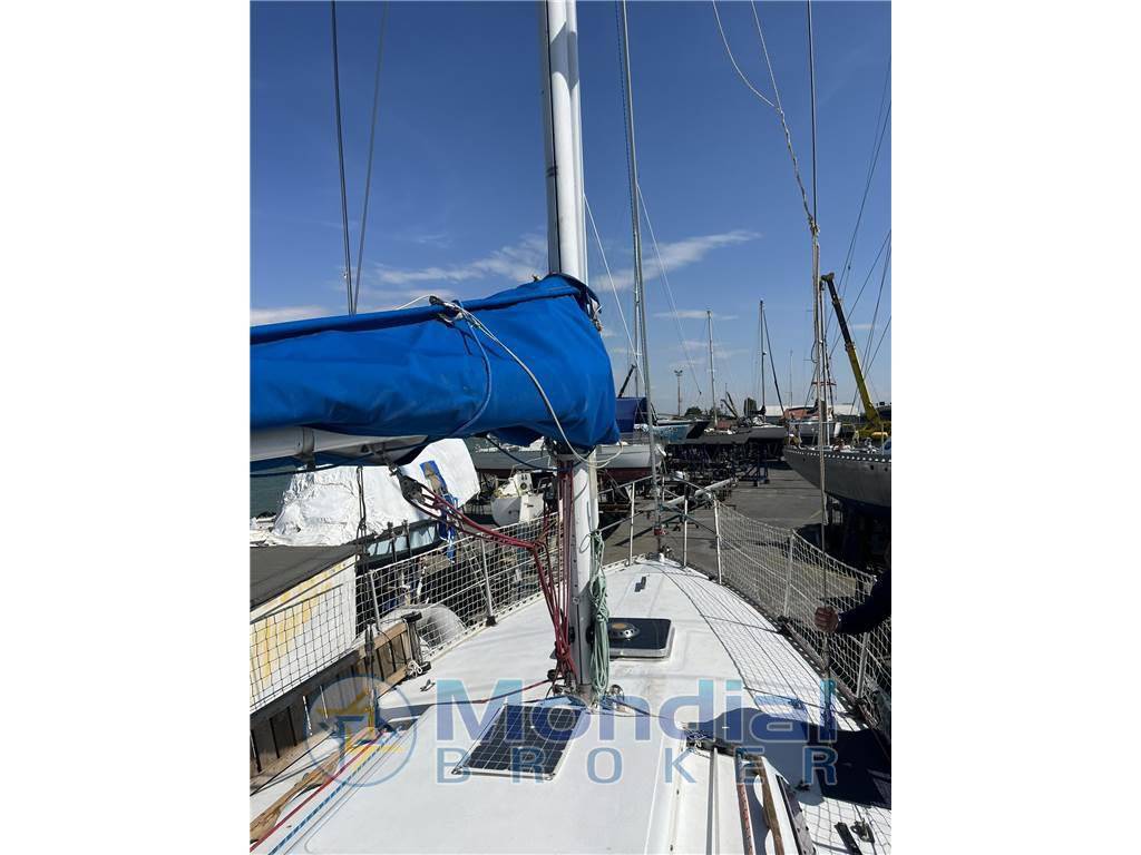 Mako sailer New ranger