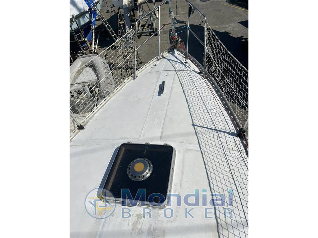 Mako sailer New ranger
