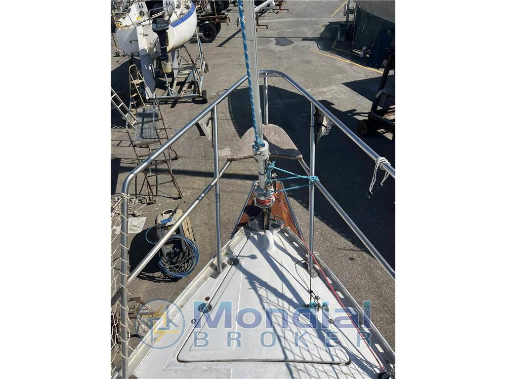 Mako sailer New ranger